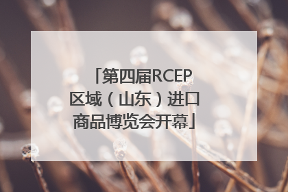 第四届RCEP区域（山东）进口商品博览会开幕