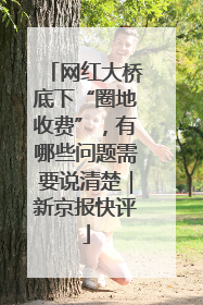 网红大桥底下“圈地收费”，有哪些问题需要说清楚｜新京报快评