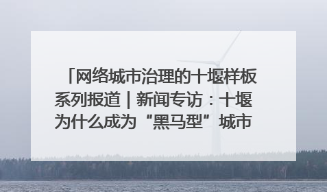 网络城市治理的十堰样板系列报道｜新闻专访：十堰为什么成为“黑马型”城市治理网络维度典型