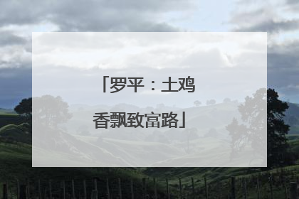 罗平：土鸡香飘致富路