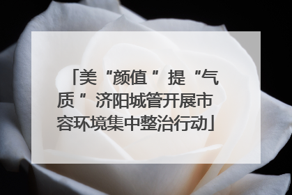 美“颜值 ”提“气质 ”济阳城管开展市容环境集中整治行动