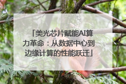 美光芯片赋能AI算力革命：从数据中心到边缘计算的性能跃迁