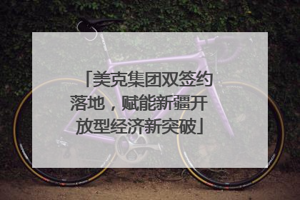 美克集团双签约落地，赋能新疆开放型经济新突破