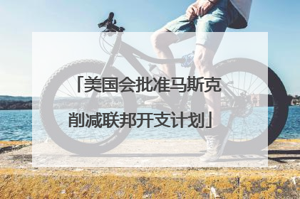 美国会批准马斯克削减联邦开支计划