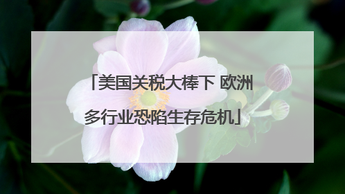 美国关税大棒下 欧洲多行业恐陷生存危机