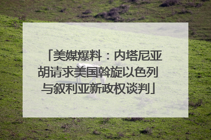 美媒爆料：内塔尼亚胡请求美国斡旋以色列与叙利亚新政权谈判
