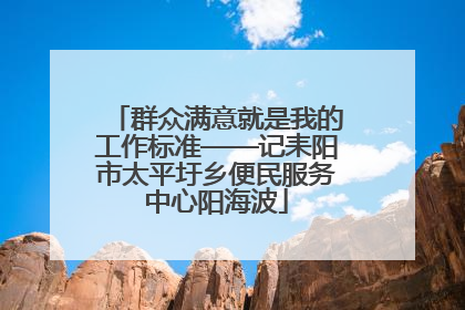 群众满意就是我的工作标准——记耒阳市太平圩乡便民服务中心阳海波