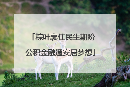粽叶裹住民生期盼 公积金融通安居梦想