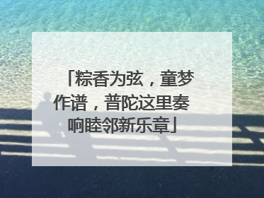 粽香为弦，童梦作谱，普陀这里奏响睦邻新乐章