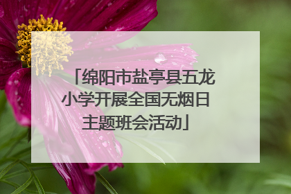 绵阳市盐亭县五龙小学开展全国无烟日主题班会活动