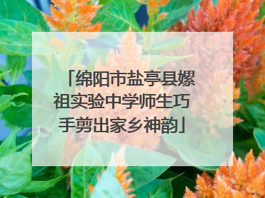 绵阳市盐亭县嫘祖实验中学师生巧手剪出家乡神韵