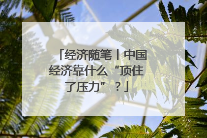 经济随笔丨中国经济靠什么“顶住了压力”？