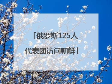 俄罗斯125人代表团访问朝鲜