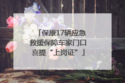 保康17辆应急救援保障车家门口喜提“上岗证”