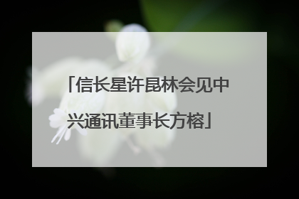 信长星许昆林会见中兴通讯董事长方榕