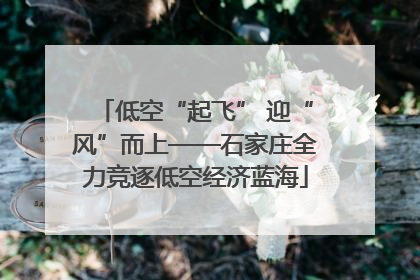 低空“起飞” 迎“风”而上——石家庄全力竞逐低空经济蓝海