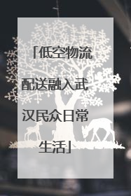 低空物流配送融入武汉民众日常生活