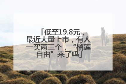 低至19.8元，最近大量上市，有人一买两三个，“榴莲自由”来了吗