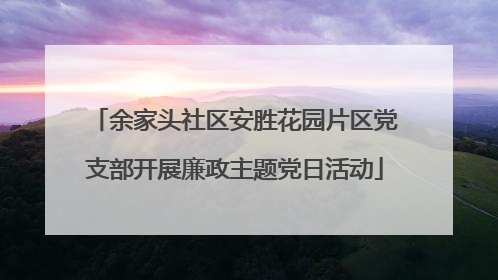 余家头社区安胜花园片区党支部开展廉政主题党日活动