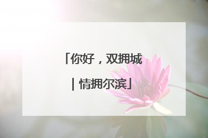 你好，双拥城｜情拥尔滨