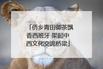 侨乡青田御茶飘香西班牙 架起中西文化交流桥梁
