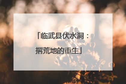 临武县伏水洞：撂荒地的重生