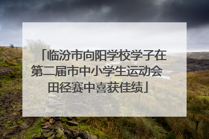 临汾市向阳学校学子在第二届市中小学生运动会田径赛中喜获佳绩