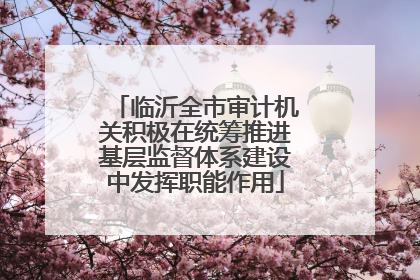 临沂全市审计机关积极在统筹推进基层监督体系建设中发挥职能作用