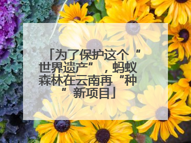 为了保护这个“世界遗产”，蚂蚁森林在云南再“种”新项目