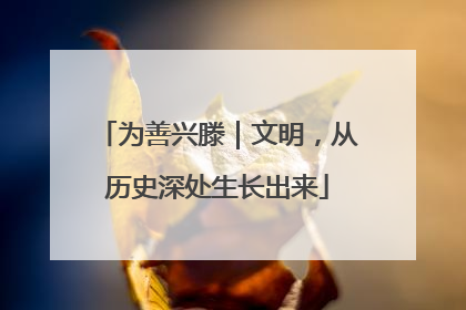 为善兴滕｜文明，从历史深处生长出来