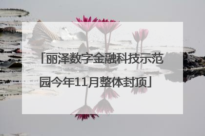 丽泽数字金融科技示范园今年11月整体封顶