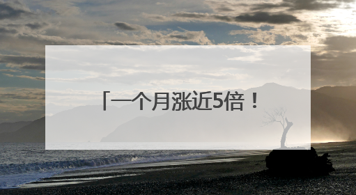 一个月涨近5倍！亚洲最大比特币持有者欲融资53亿美元 豪言要囤积21万枚比特币