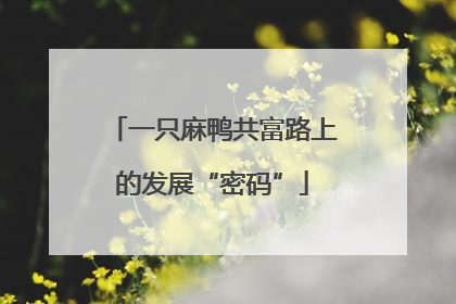 一只麻鸭共富路上的发展“密码”