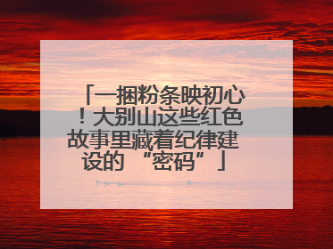 一捆粉条映初心！大别山这些红色故事里藏着纪律建设的 “密码”