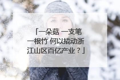 一朵菇 一支笔 一根竹 何以撬动浙江山区百亿产业？