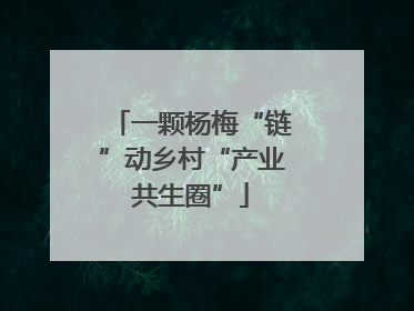 一颗杨梅“链”动乡村“产业共生圈”
