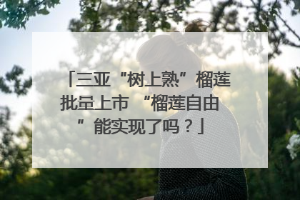 三亚“树上熟”榴莲批量上市 “榴莲自由”能实现了吗？