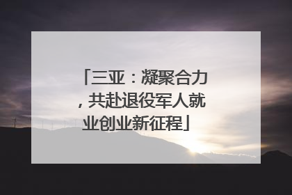 三亚：凝聚合力，共赴退役军人就业创业新征程