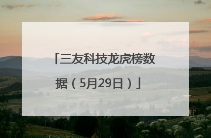 三友科技龙虎榜数据（5月29日）