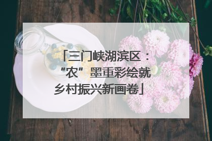 三门峡湖滨区：“农”墨重彩绘就乡村振兴新画卷