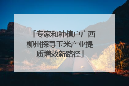 专家和种植户广西柳州探寻玉米产业提质增效新路径