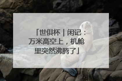 世俱杯｜闲记：万米高空上，机舱里突然沸腾了