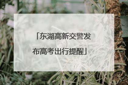 东湖高新交警发布高考出行提醒