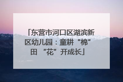 东营市河口区湖滨新区幼儿园：童耕“棉”田 “花”开成长