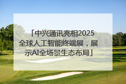中兴通讯亮相2025全球人工智能终端展，展示AI全场景生态布局