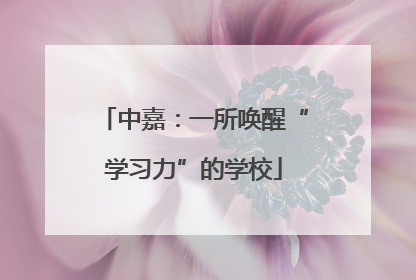 中嘉：一所唤醒“学习力”的学校