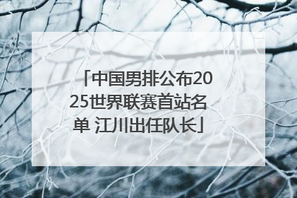 中国男排公布2025世界联赛首站名单 江川出任队长