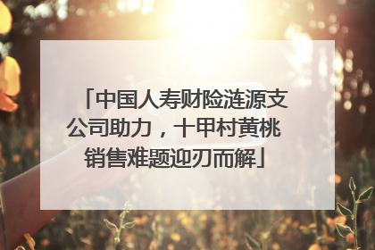 中国人寿财险涟源支公司助力，十甲村黄桃销售难题迎刃而解