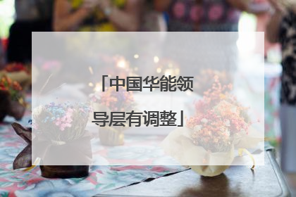 中国华能领导层有调整