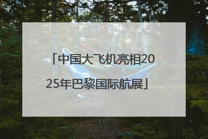 中国大飞机亮相2025年巴黎国际航展